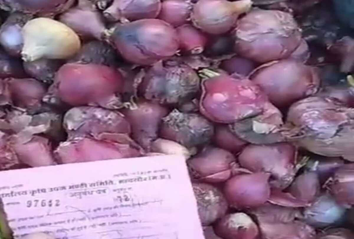 one kg onion getting 50 paise know why is the price so low