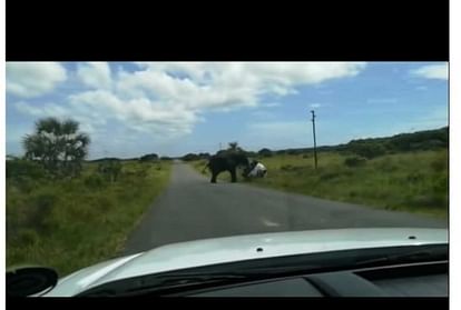 गुस्साए हाथी ने किया कार में बैठे लोगों पर हमला