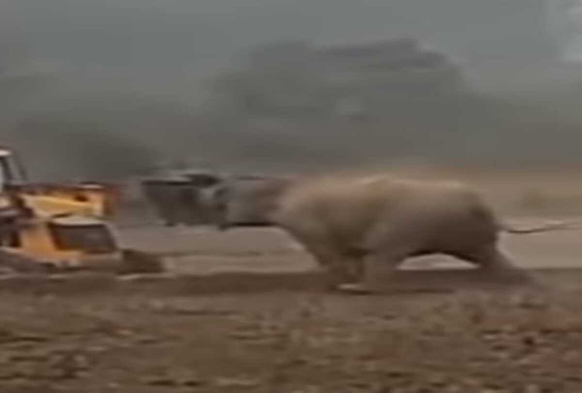 A war between elephant and jcb you will not ever seen video viral goes on social media