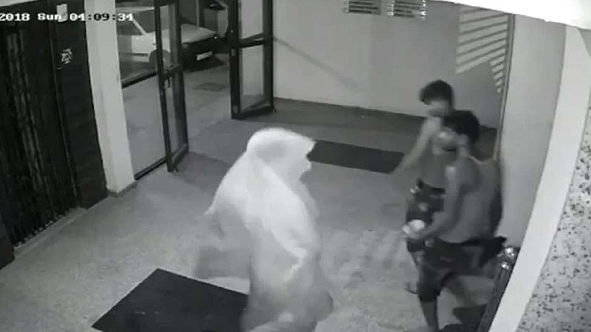 thieves dancing video went viral You will not be able to stop laughing after watching this video