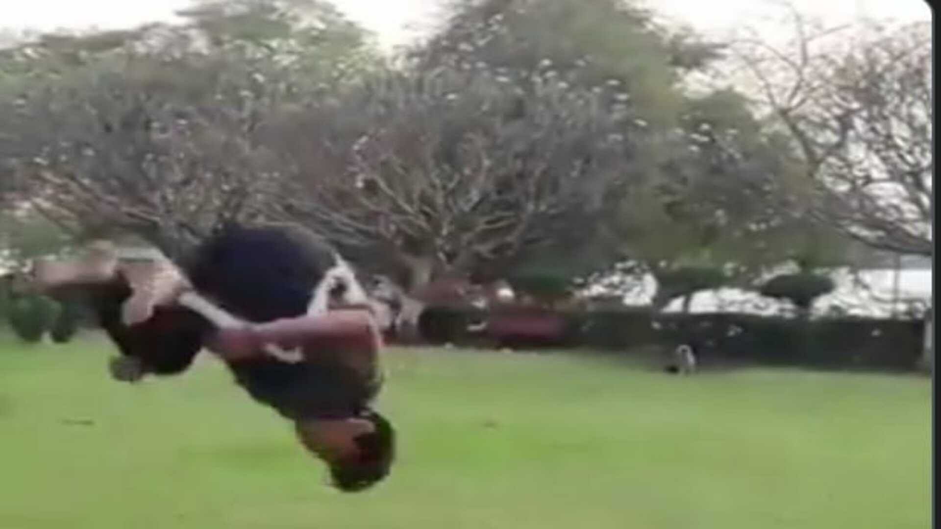 Boy doing backflip in a park and a monkey watching this know what happened