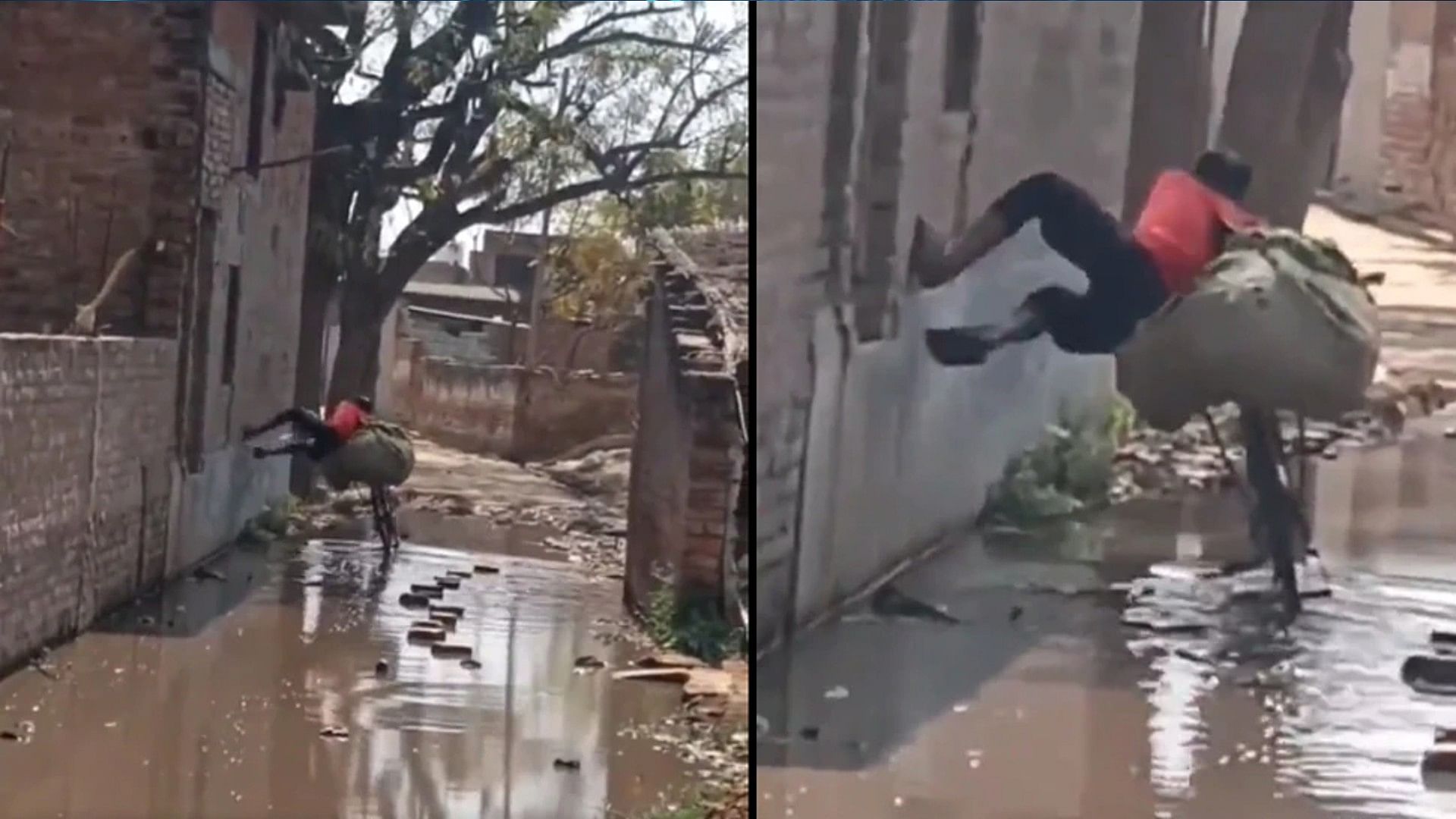 young man becomes desi spiderman and  took out a bicycle by walking on the wall