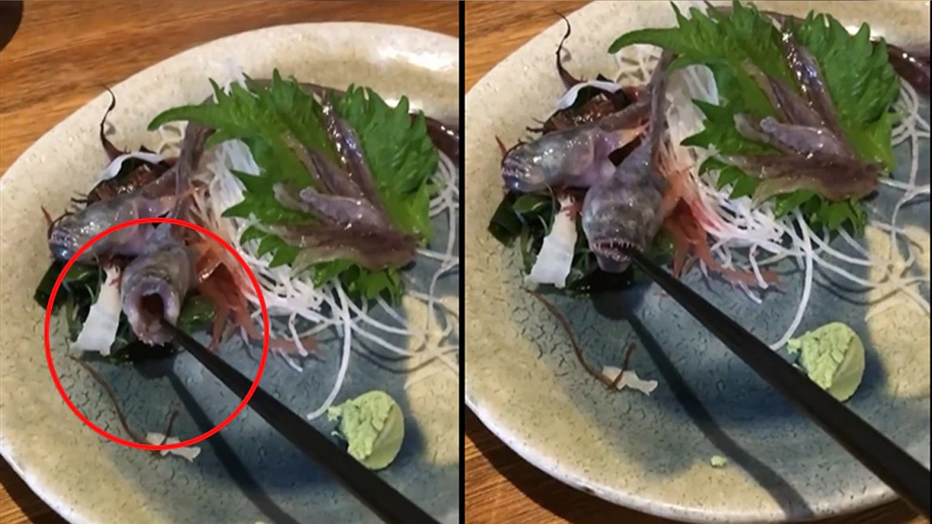 waiter served live fish in the restaurant to eat the fish opened its mouth as soon as it started eating