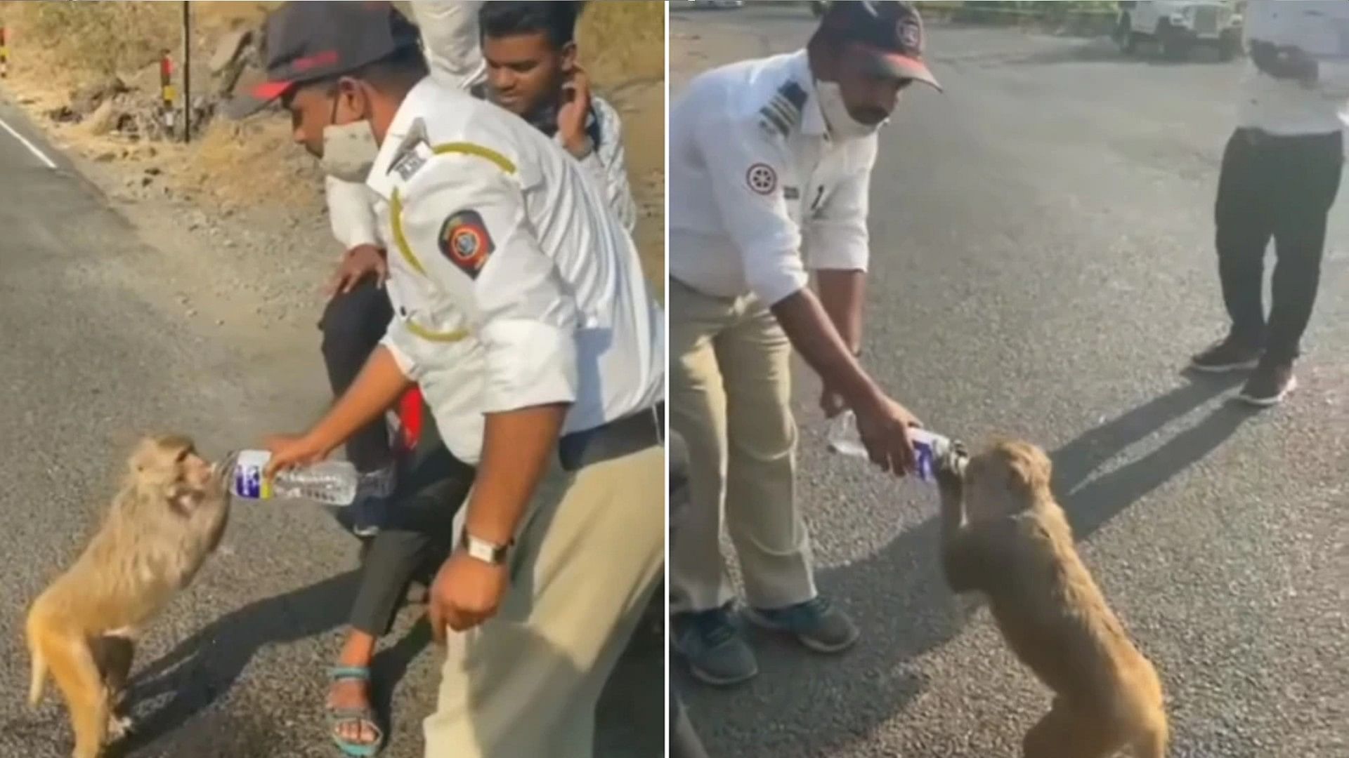 Such attitude of the policeman with the thirsty monkey won the hearts of the people