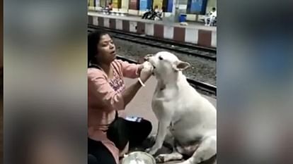 Viral News: महिला ने आवारा कुत्ते को अपने हाथों से खिलाया दही-चावल