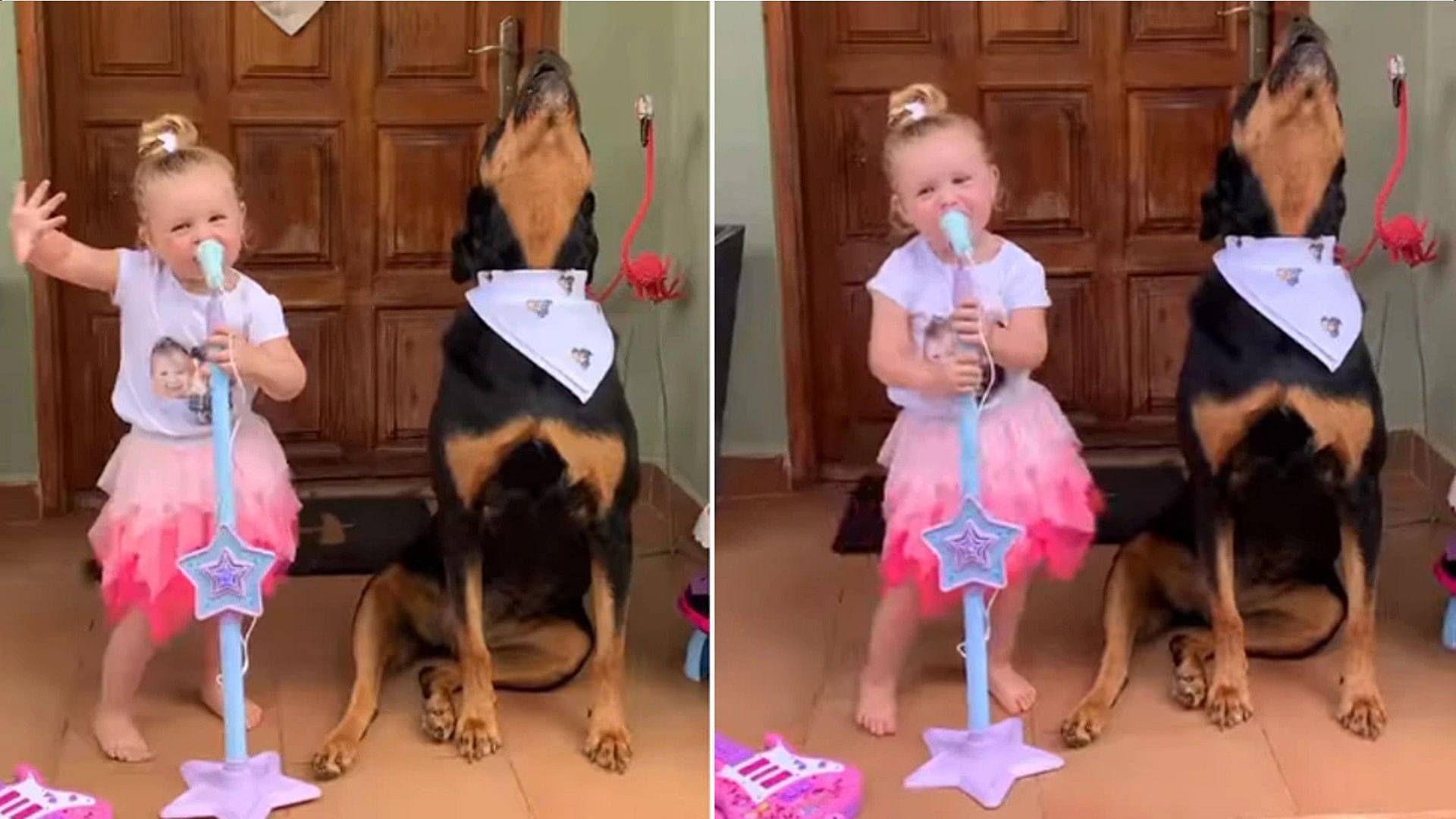 The little girl gave a stellar performance with a pet dog video is going viral on social media