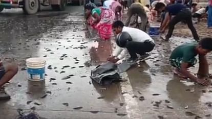 Viral Video: सड़क पर मछलियों की बारिश देख पहले तो हैरान रह गए लोग