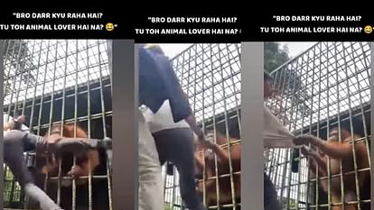 orangutan attacked man: शख्स को आरंगुटान के पिंजरे के पास जाना पड़ा भारी