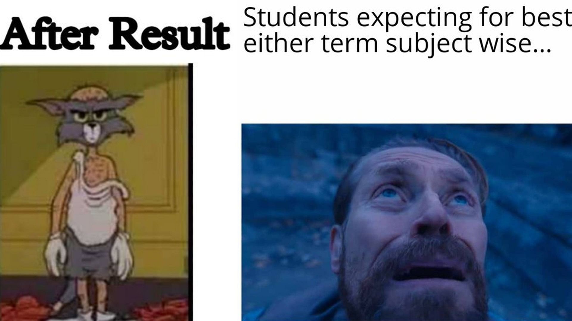 CBSE 10th Result 2022 viral memes, funny memes on Best of Either Term Subject Wise for CBSE Result