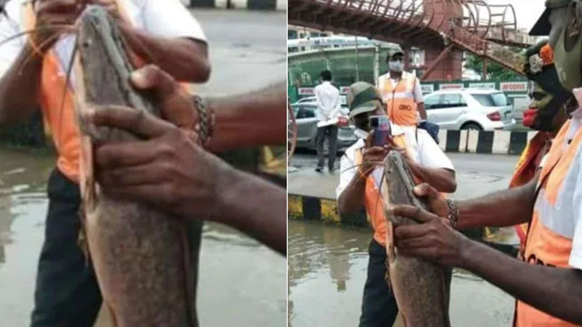 Heavy rain in Bengaluru People are catching fresh fish on the streets