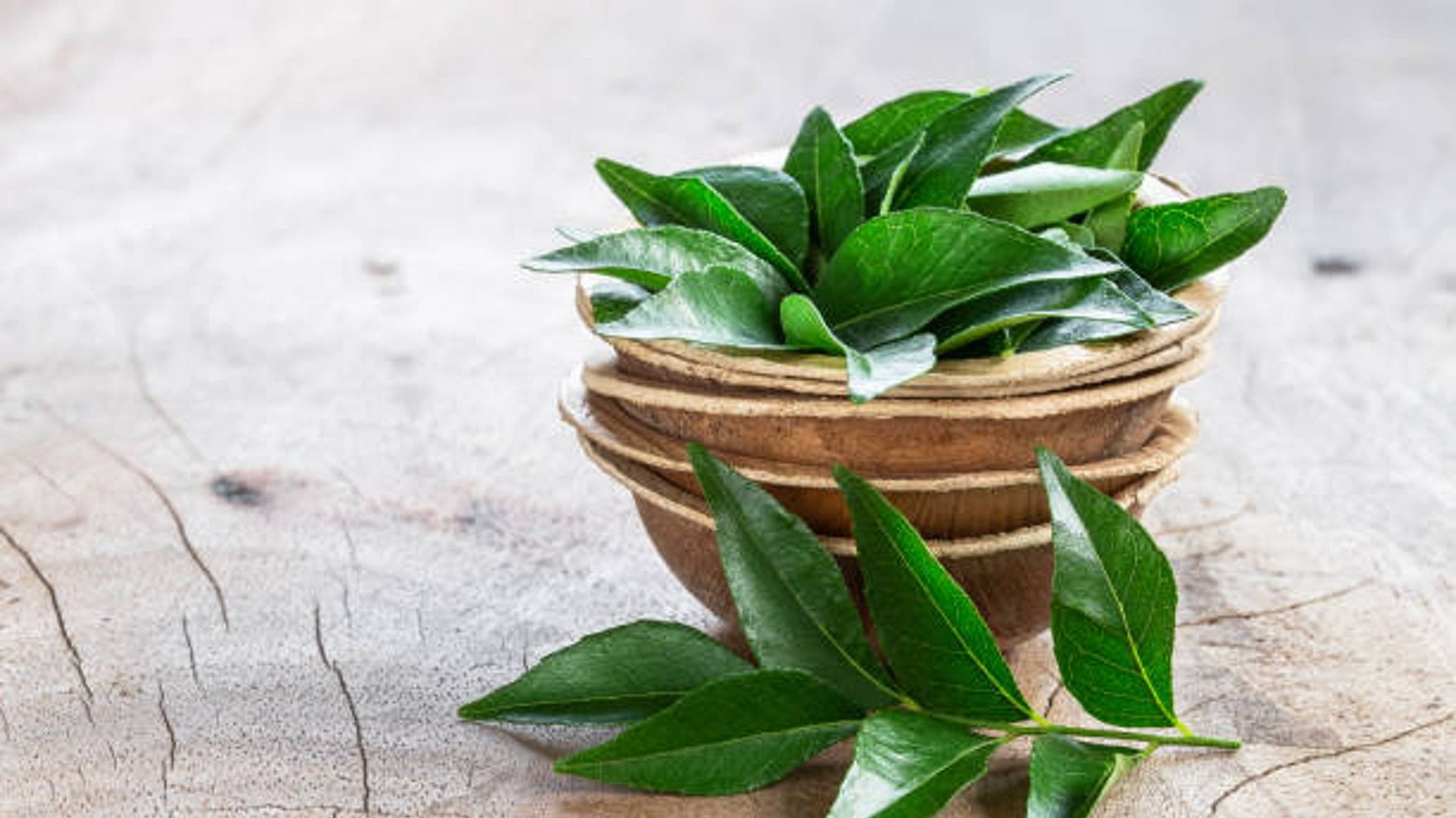 Curry leaves Benefits or hair: Know How to use curry leaves on hair in hindi