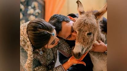 rman gifts His bride a donkey