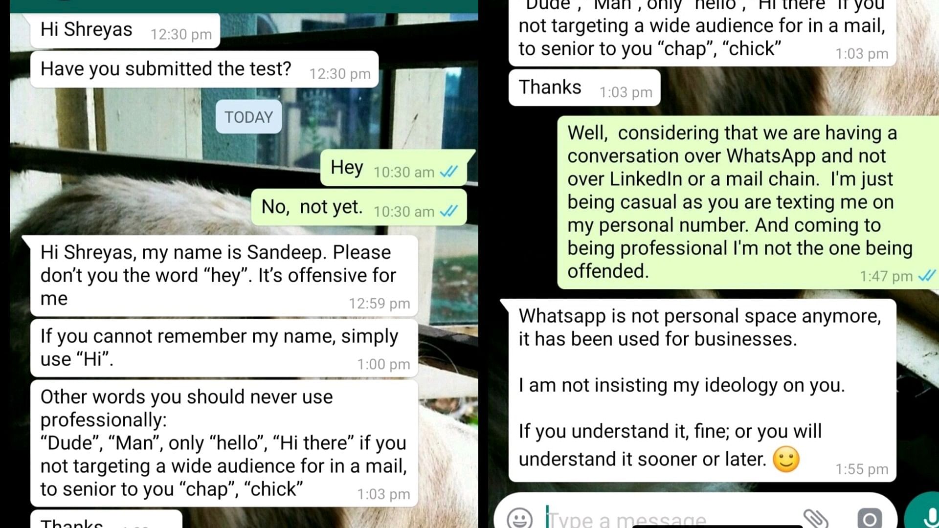 Boss Employee Chat: office employee send hey to boss on whatsapp makes him angry