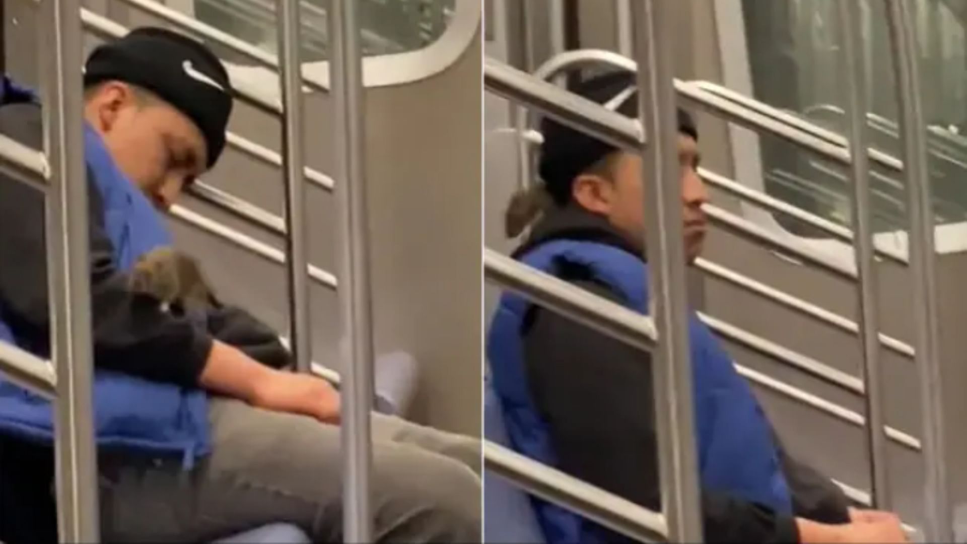 viral metro trending video rat crawls on a sleeping man on new york subway
