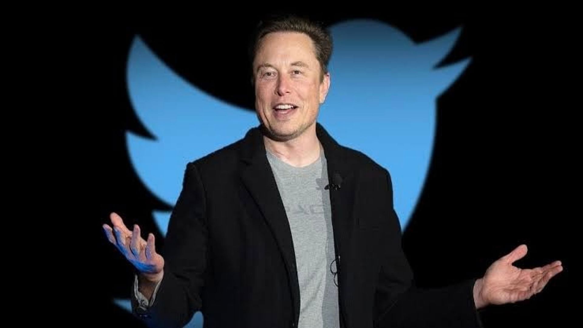 elon musk says free blue tick will be removed soon Girl troll on question from Musk twitter blue tick