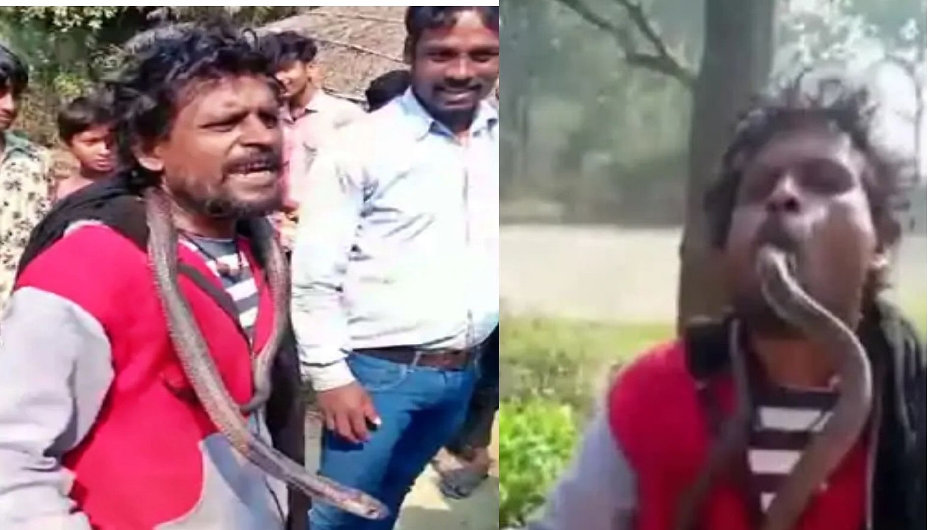 man playing with cobra and hanging on neck snake bite in mouth siwan bihar news in Hindi