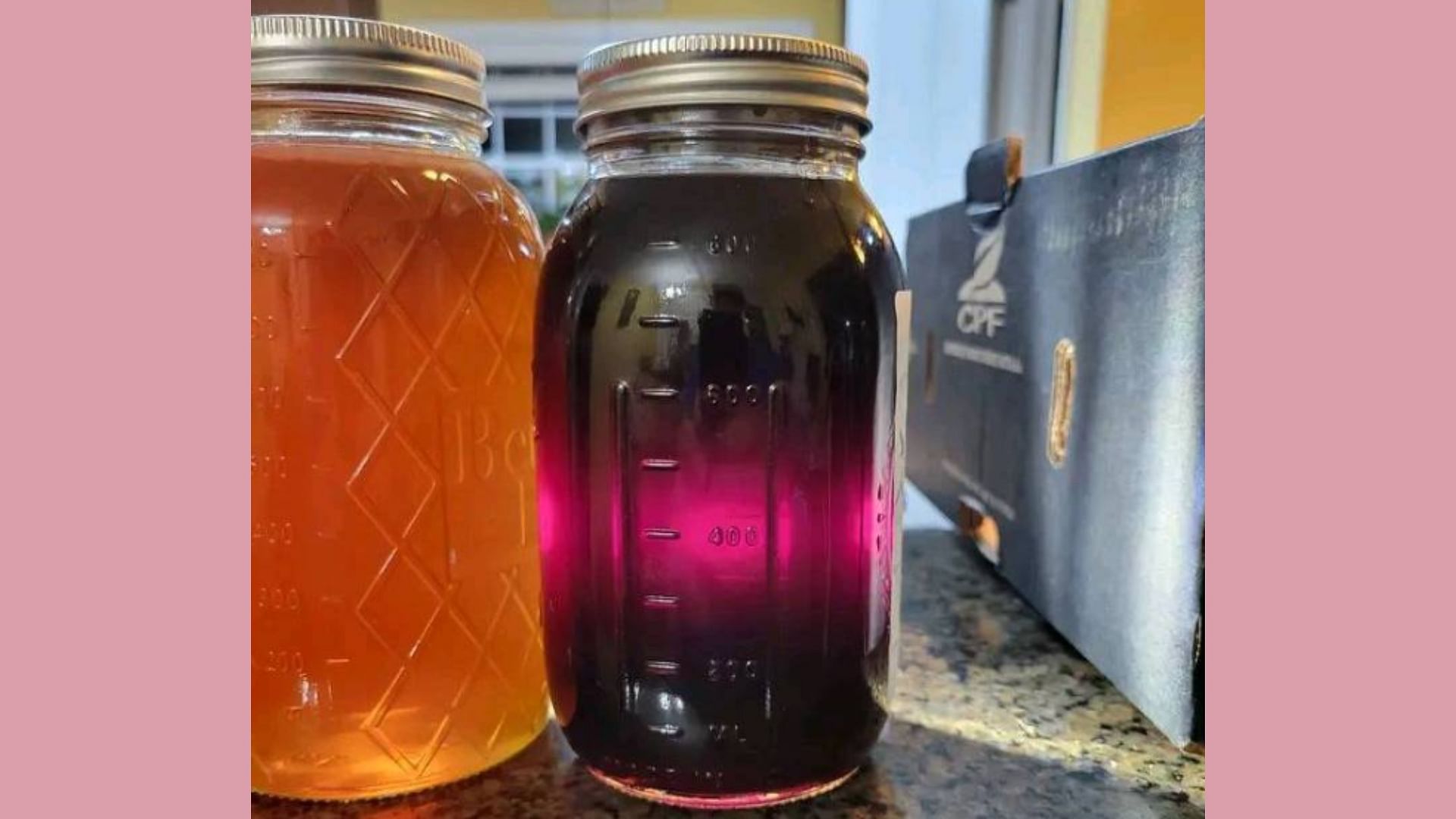 North Carolina Honeybees Produce Purple Honey Tastes Like Berries