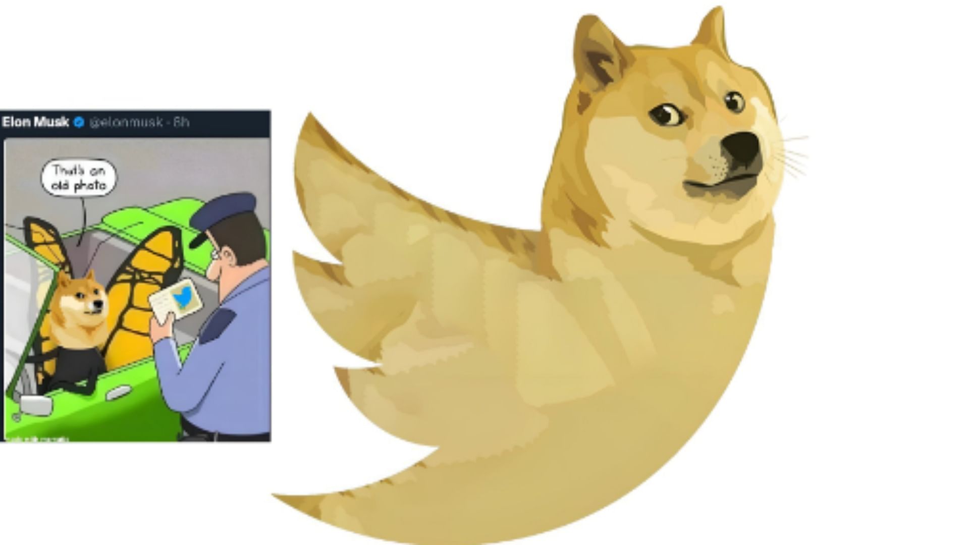 Elon Musk Replaces Twitter Blue Bird Logo With Dog Memes Getting Viral On Social Media