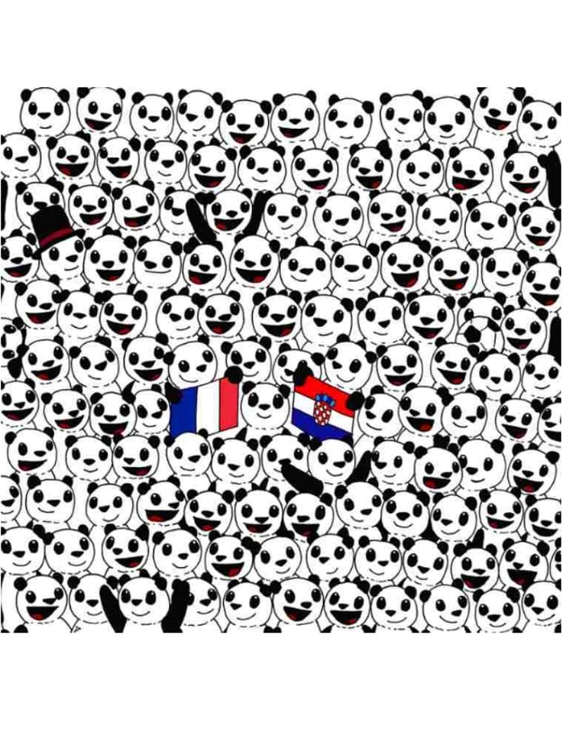 Optical Illusion spot a Soccer Ball hidden among the Pandas in 11 Secs