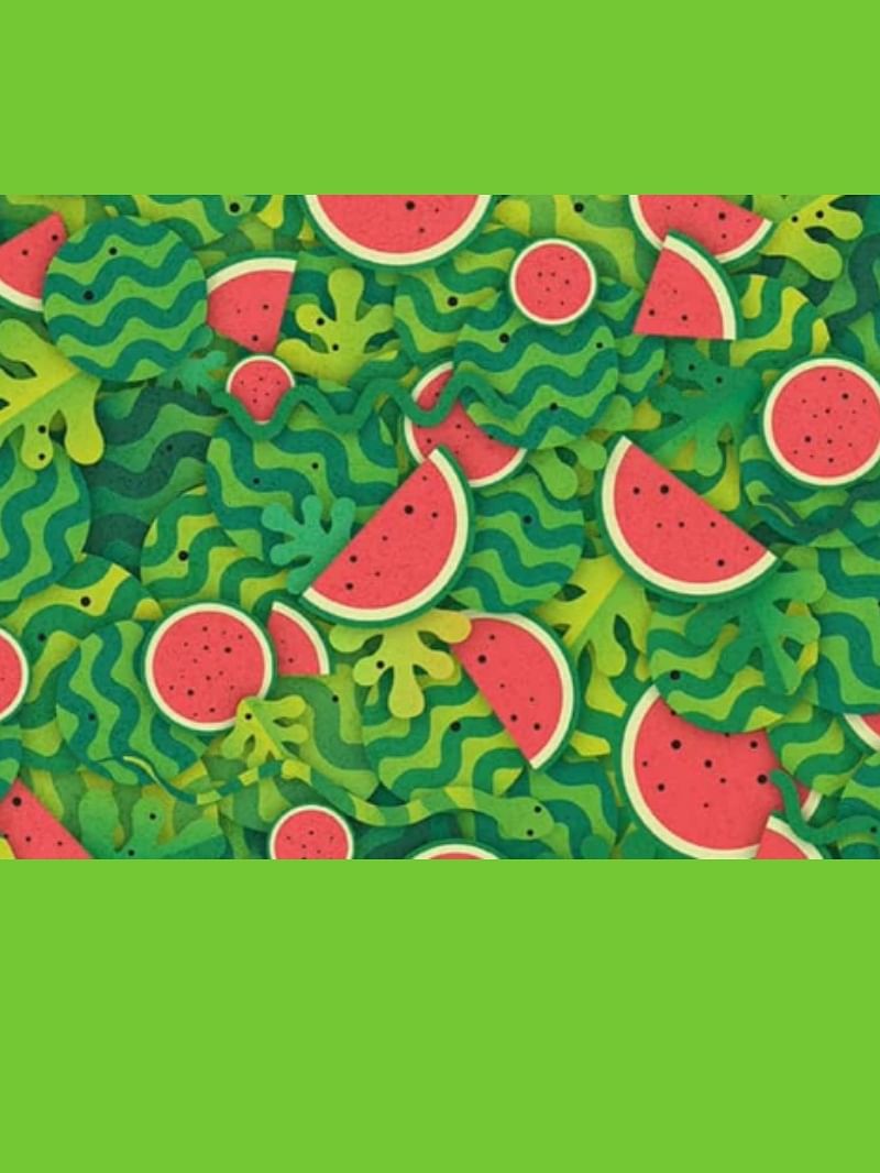 Optical Illusion spot a snake in the watermelon slices in 6 seconds
