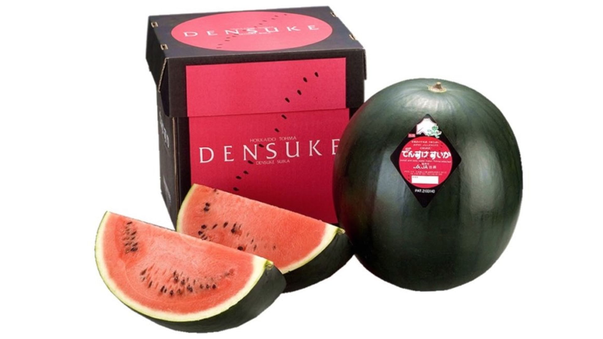 Worlds Expensive Watermelon Densuke Black Watermelon Kala Tarbuz