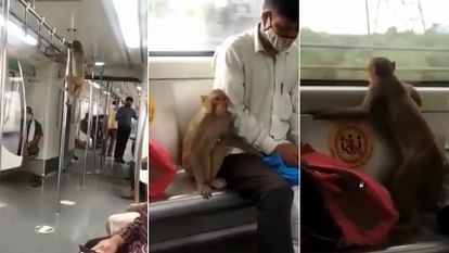 दिल्ली मेट्रो में घुसा बंदर
