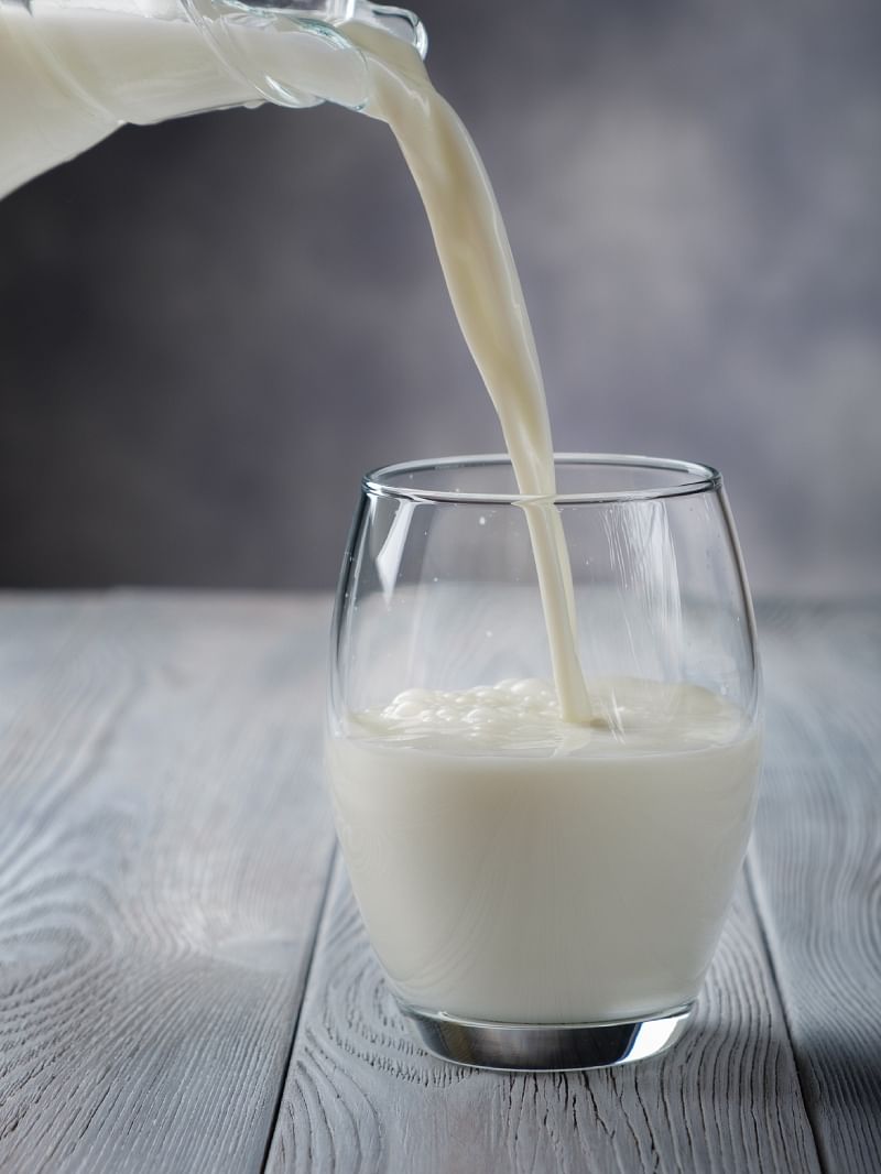 animal milk contains more alcohol than beer and whisky
