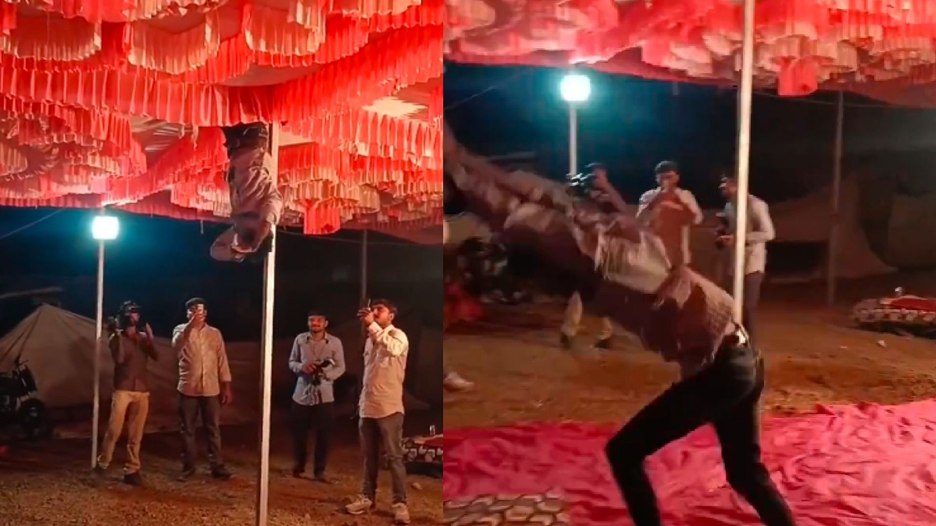 Funny Dance Video Watch Desi Boy Tent Dance on Nagin Song Video Goes Viral