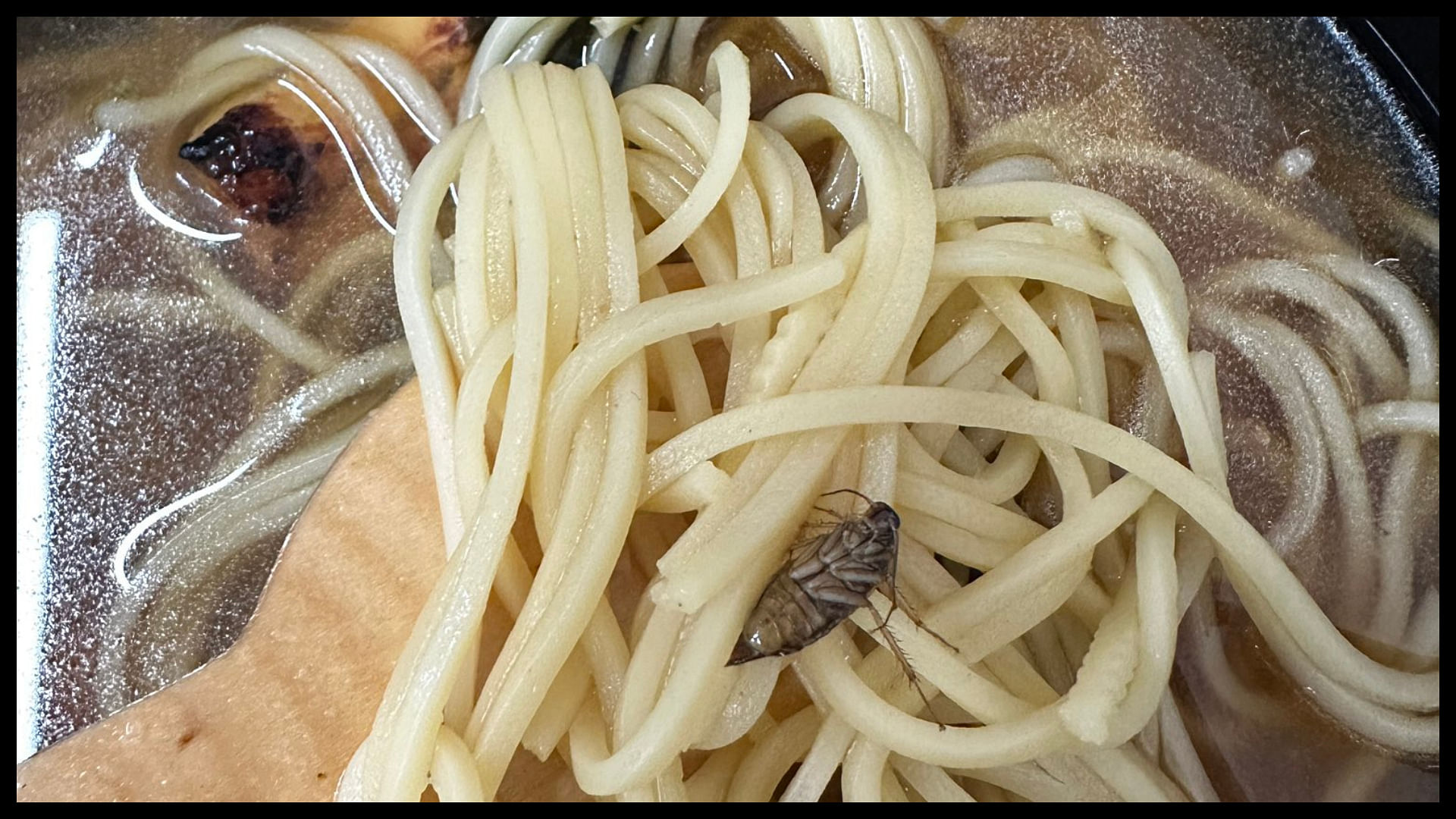 Food Delivery horrific experience woman ordered noodles finds cockroach in food company reacts
