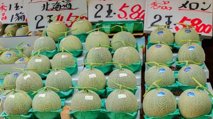 Most Expensive Fruits: the five most expensive fruits in the world know the price