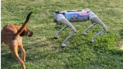पार्क में घूम रहे रोबोट डॉग को असली कुत्तों ने घेर लिया