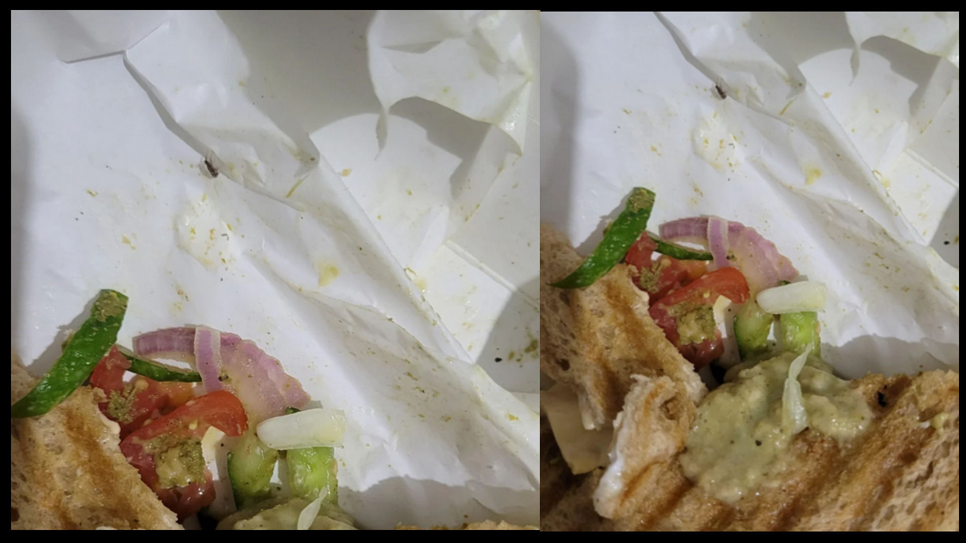 Food Delivery horrific experience in bengaluru zomato customer finds cockroach in sandwich