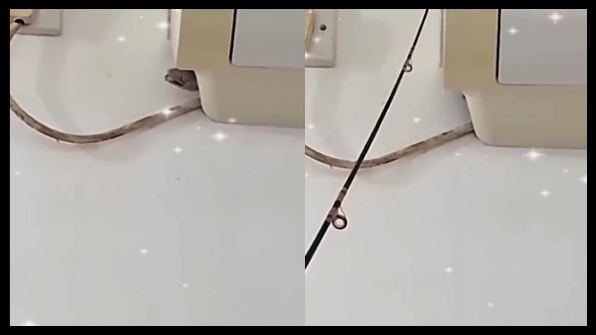 Man caught lizard with fishing line unique trick to catch lizard