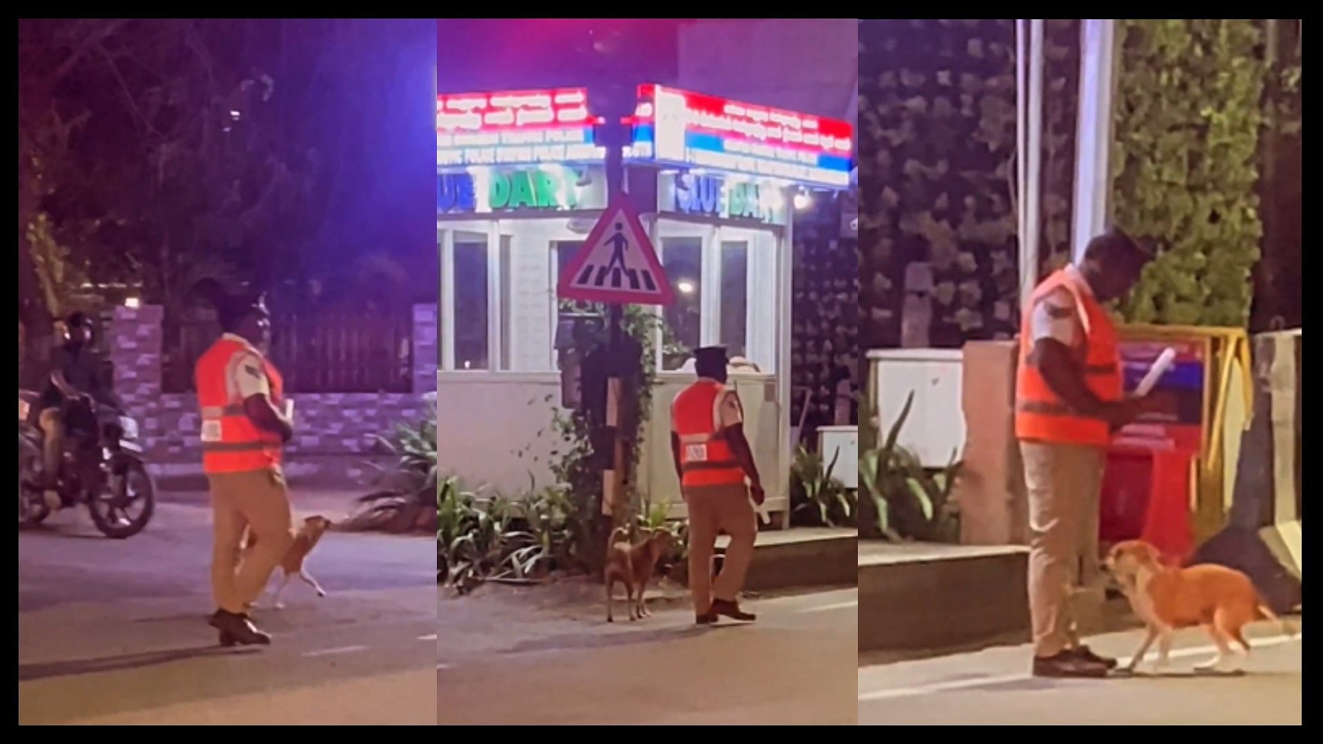 Dog and night duty traffic policeman sweet friendship viral video and won people heart