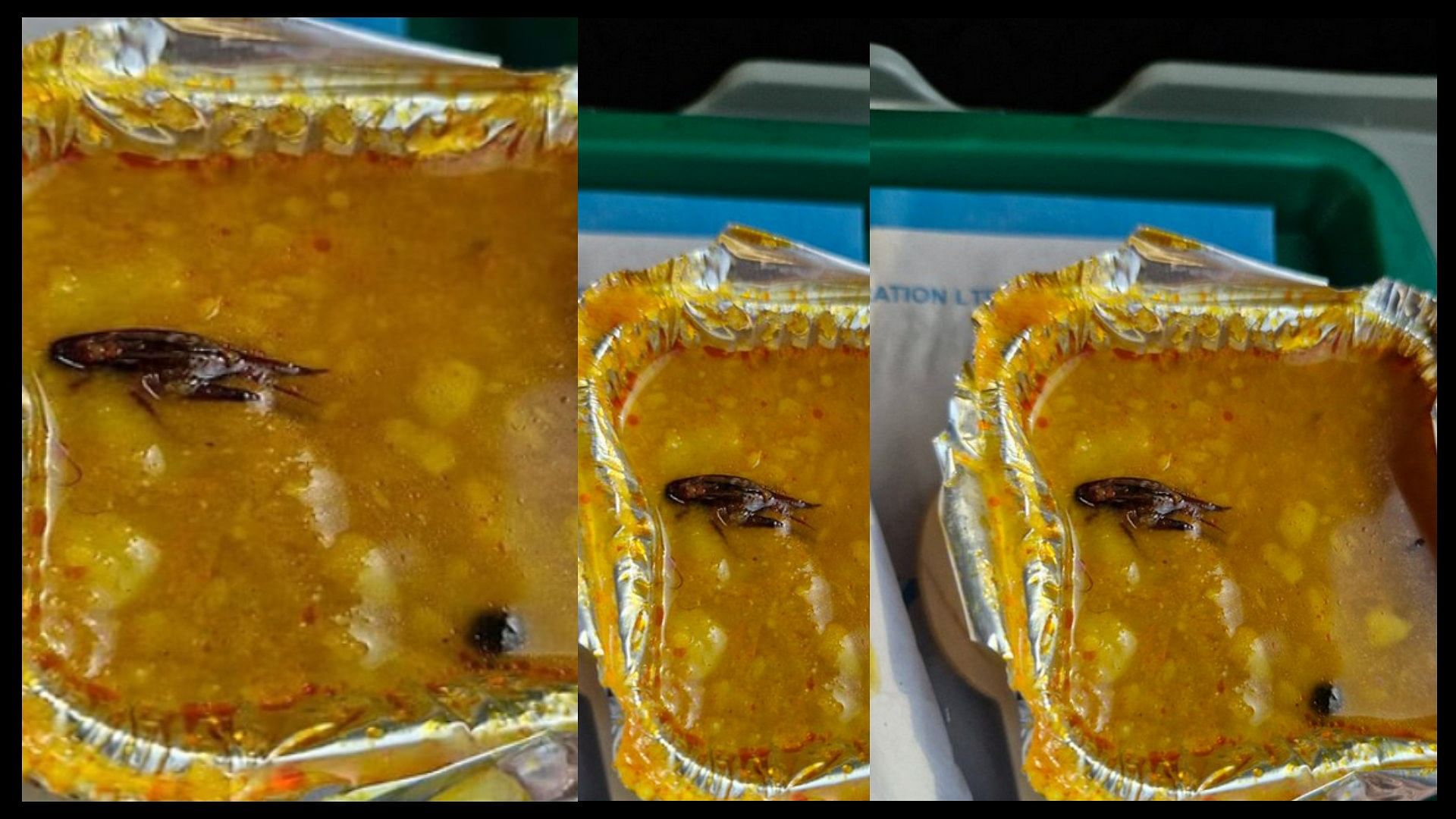 Cockroach found in food of Vande bharat express video goes viral on social media
