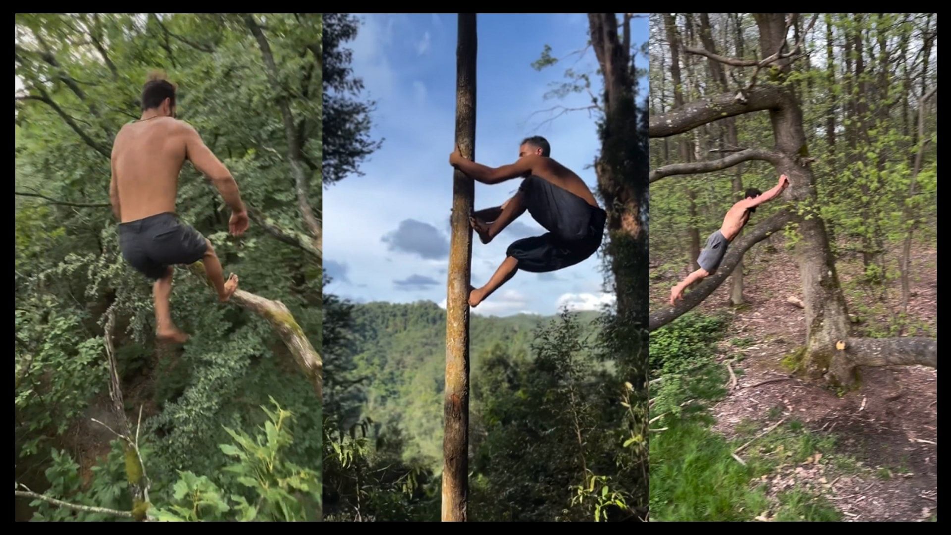 This man is real life tarzan who jumps and climbs trees like monkeys video goes viral on social media
