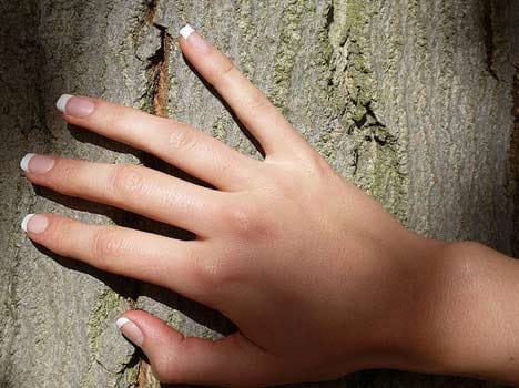 Touch Wood Meaning - Amar Ujala Hindi News Live - अगर आप भी करते हैं