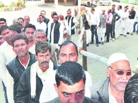 Bumper 89.96 percent voting for MLC
