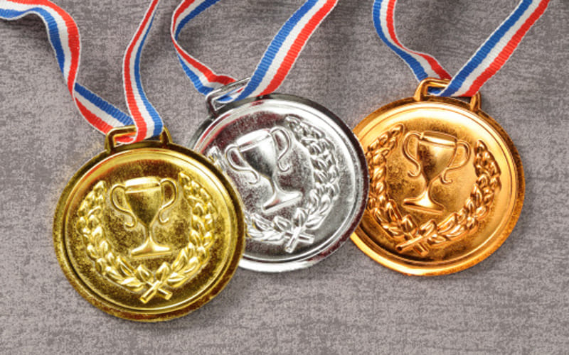 Abaqus won medals in competition