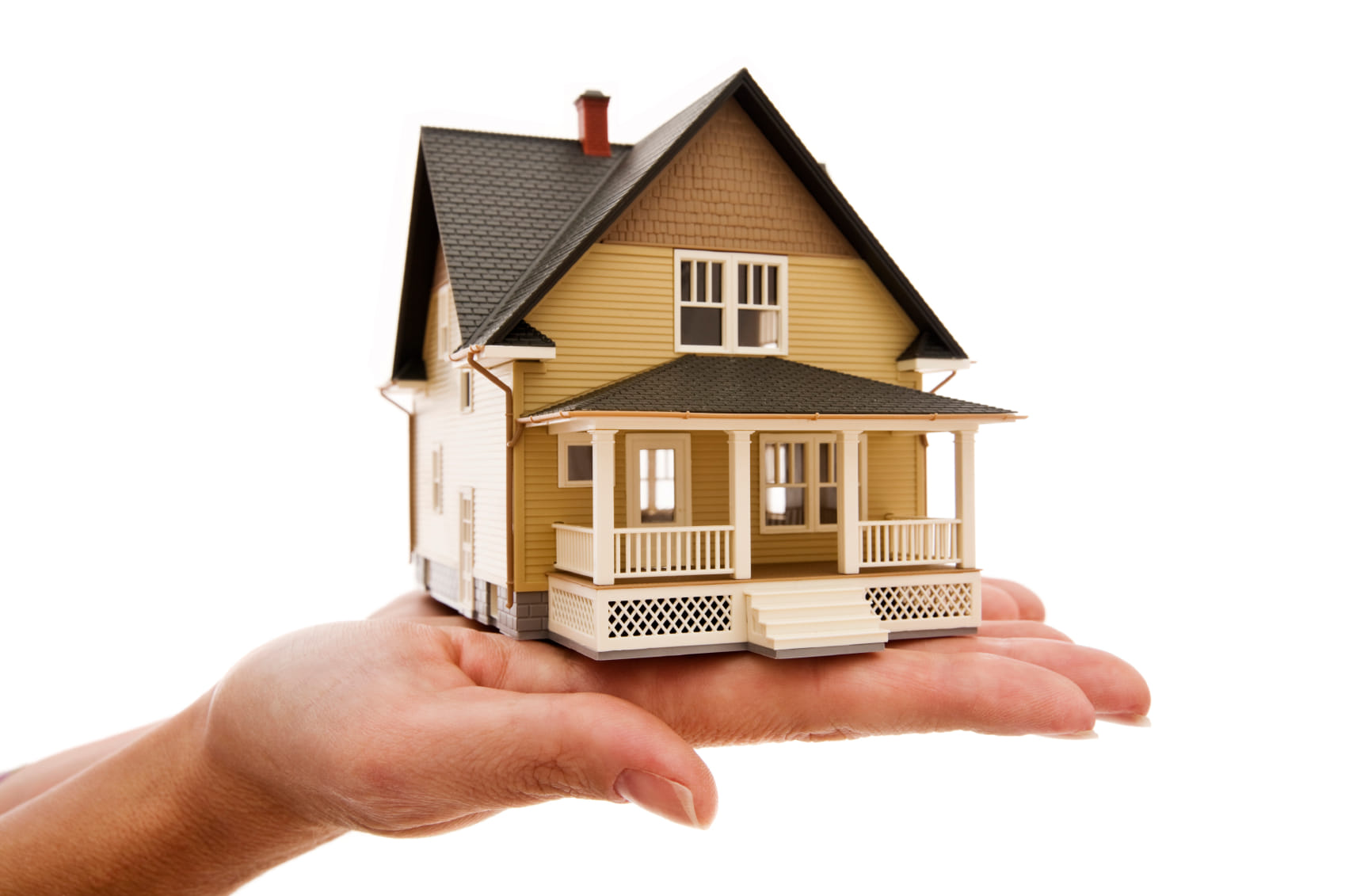 know about new startup of hemil patel