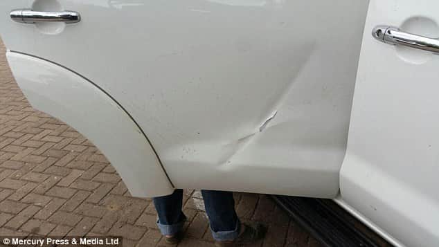  clever buffalo evades death