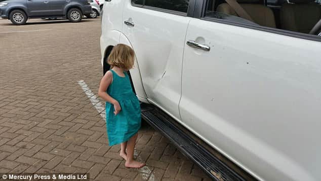  clever buffalo evades death