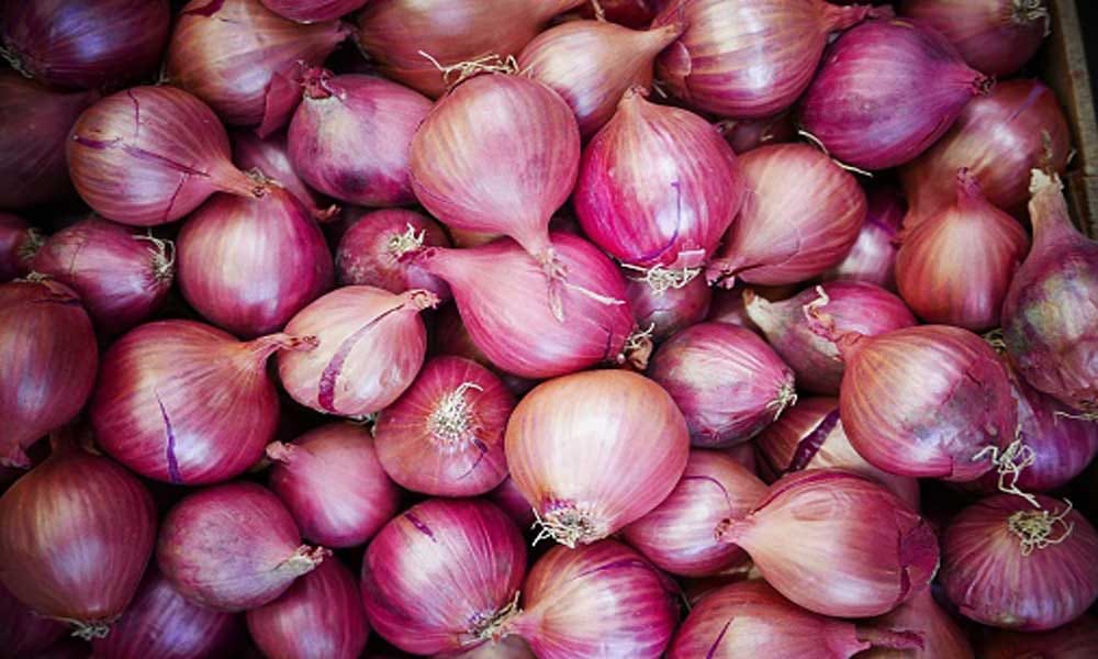 MP: government will sold onion @1 rs kg