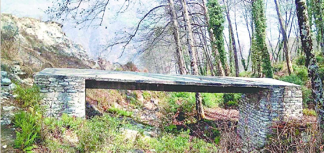 Foot bridge in the woods with the help made disaster
