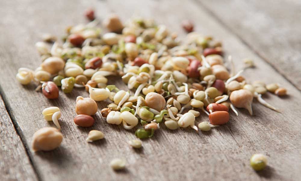 benefits of sprouts