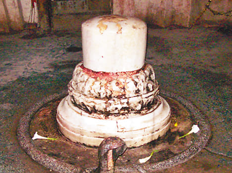 Shiva lingam grows every year Sureshwar