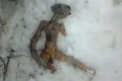 when human found aliens dead on earth