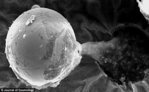 mysterious alien particle seen
