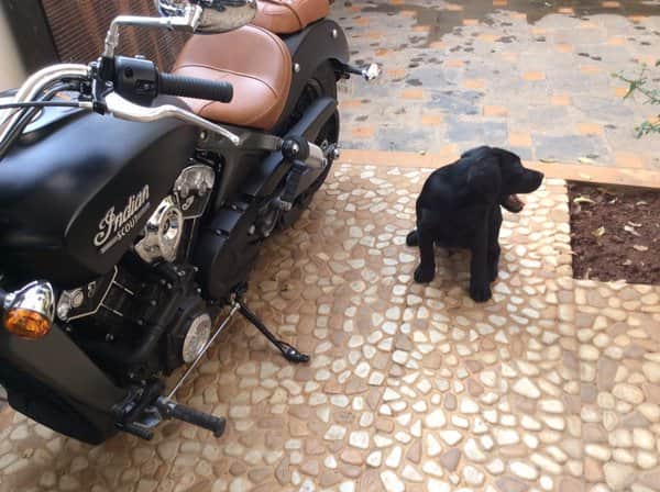 arshad warsi welcomes new members in family