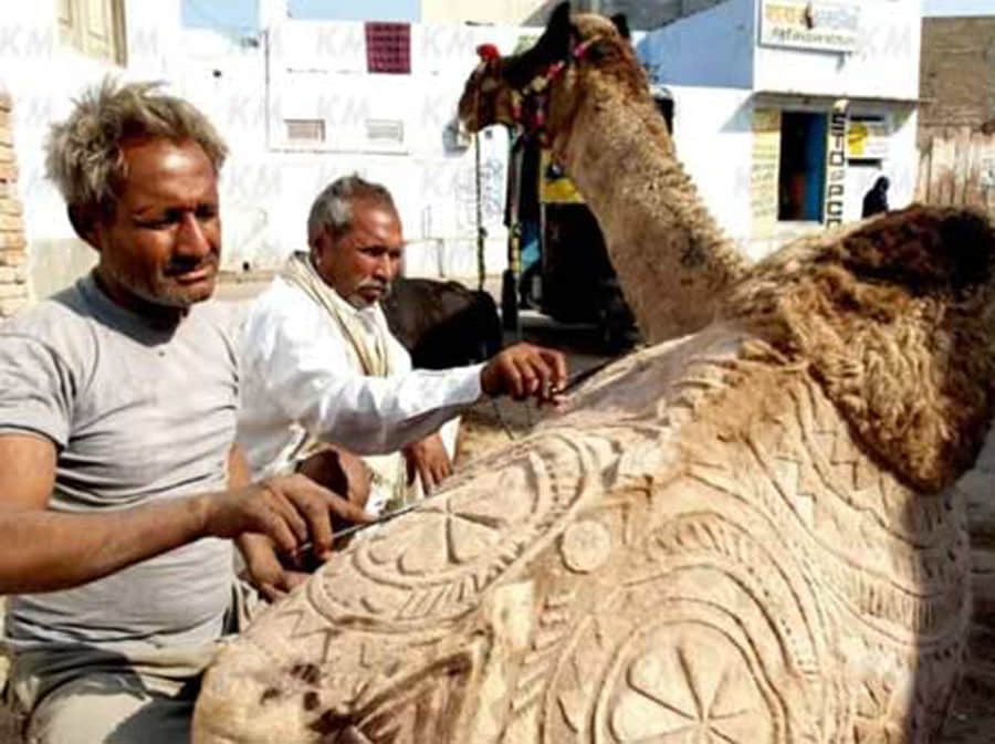 Controversial Works of Art Using Animals as Canvas